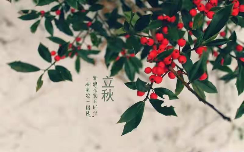 通知大家，今天8月7日立秋，正是中伏之时，又是晚上19点42分立秋，属于晚立秋，