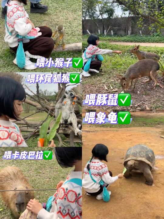 带娃去海南·海口 | 我只做一件事❗️