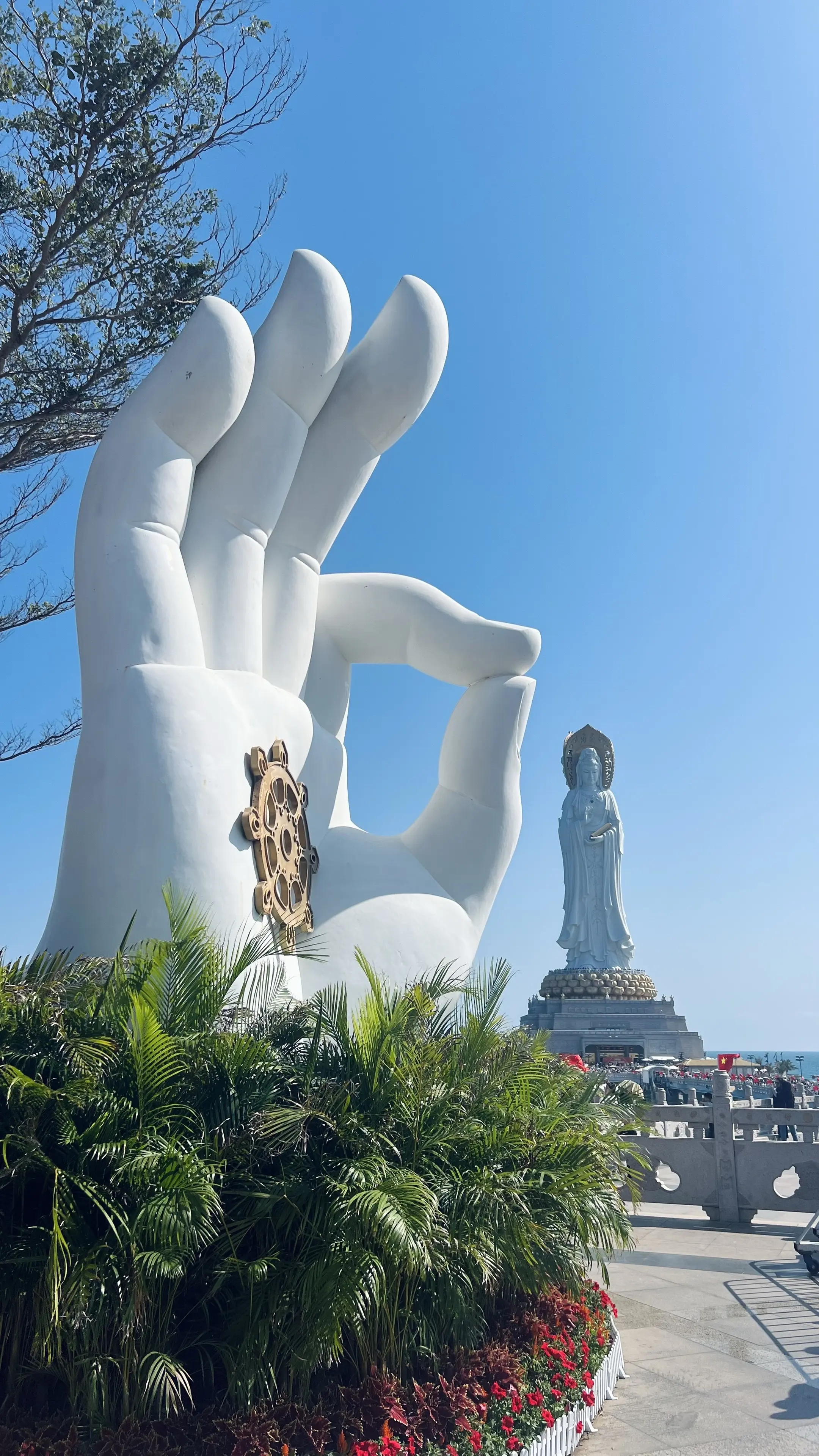 以虔诚之心 敬来日方长🪷