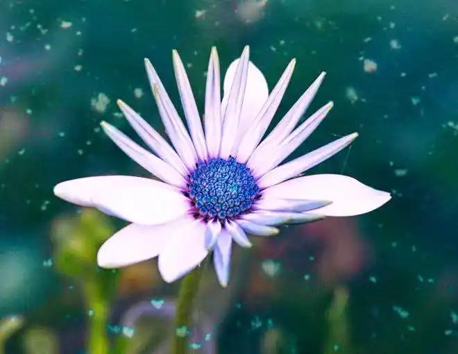 老人不愿与子女同住是代际差异与个人自主权平衡的体现，核心原因包括生活习惯冲突、心