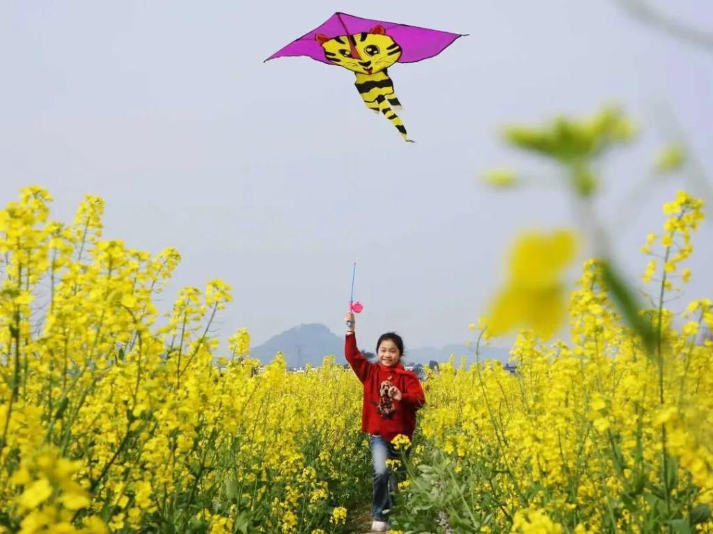 我们不支持丛林法则，更不支援以牙还牙…
但我们必须支持正义，支持联合国宪章的初心