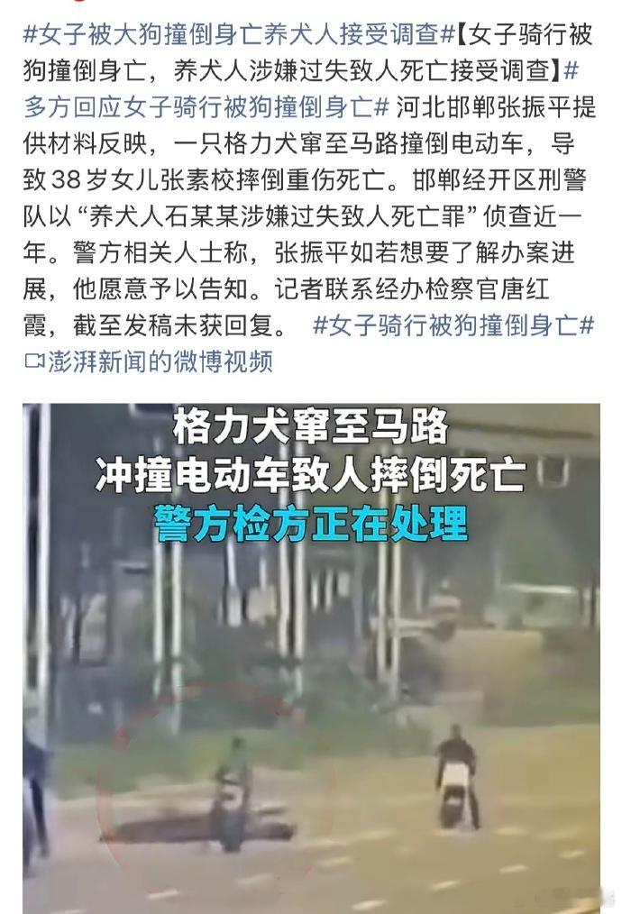 女子被大狗撞倒身亡养犬人接受调查遛狗不牵绳 还是这么大的一只 直接横穿马路 