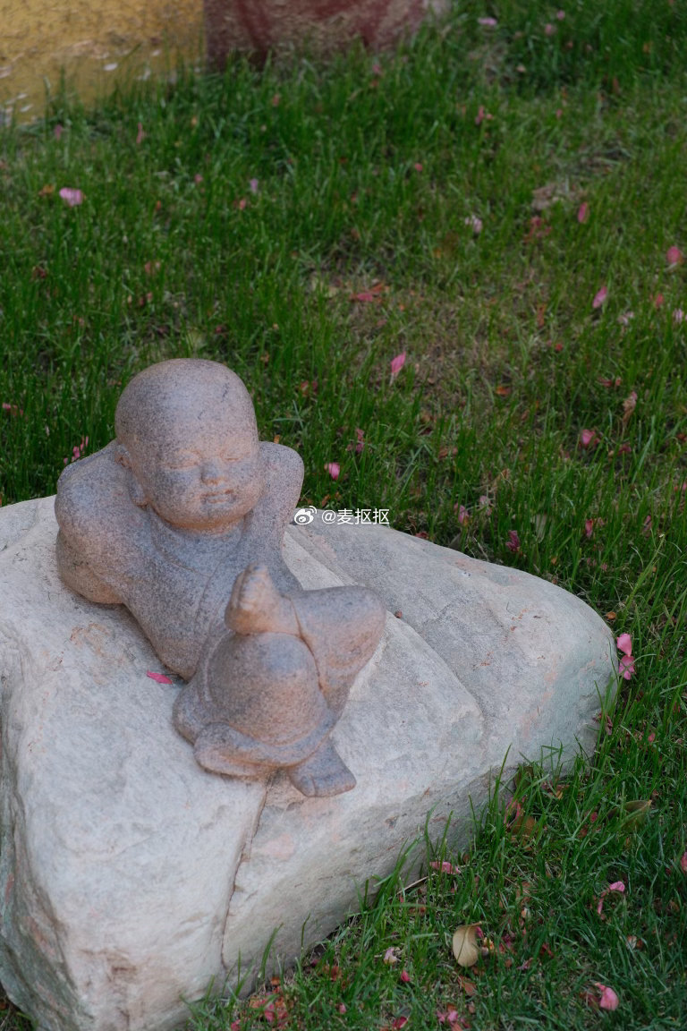 周末愉快啊🎈麦抠抠我的日常plog