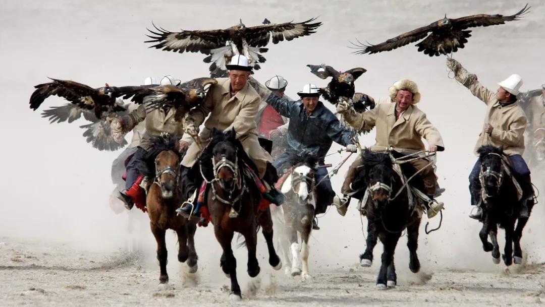 马年到了，谁不想新的一年顺风顺水呢！工作好找这点太关键了，现在就业压力大，要是能