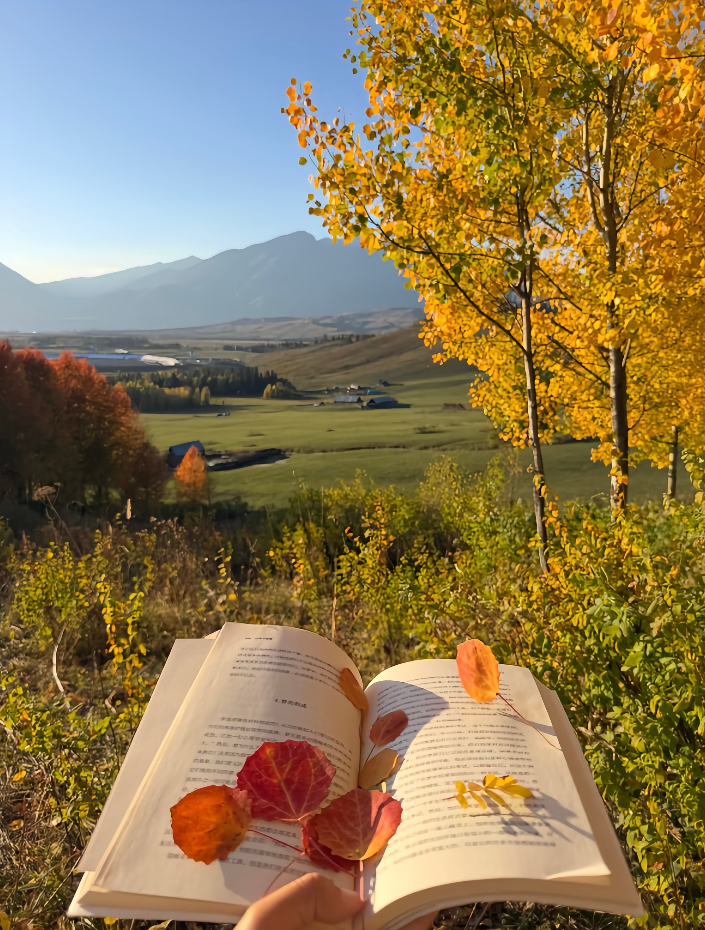 很多身弱庚辛金熬过今年，运势就开始往上走了，一些人近期事业or财运方面会迎来好的