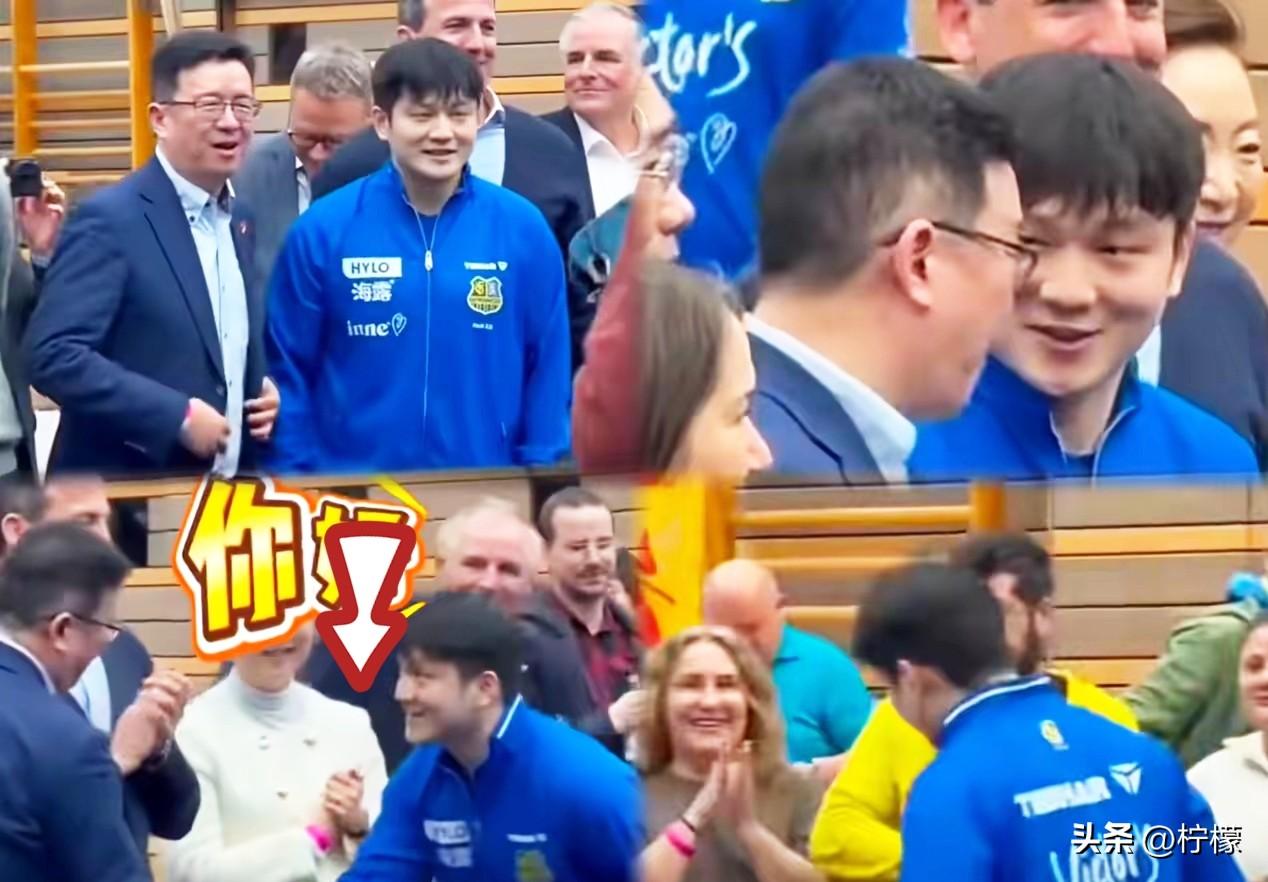 果然没有让人失望。
我说的不是樊振东的冠军，
也不是樊振东一脸福气的脸蛋，而是他