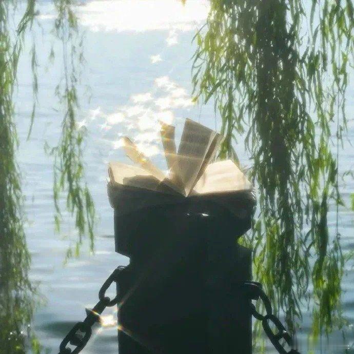 “爱世间温暖事物，沿途为晚霞驻足。 ”#每日一善[超话]# ​​​