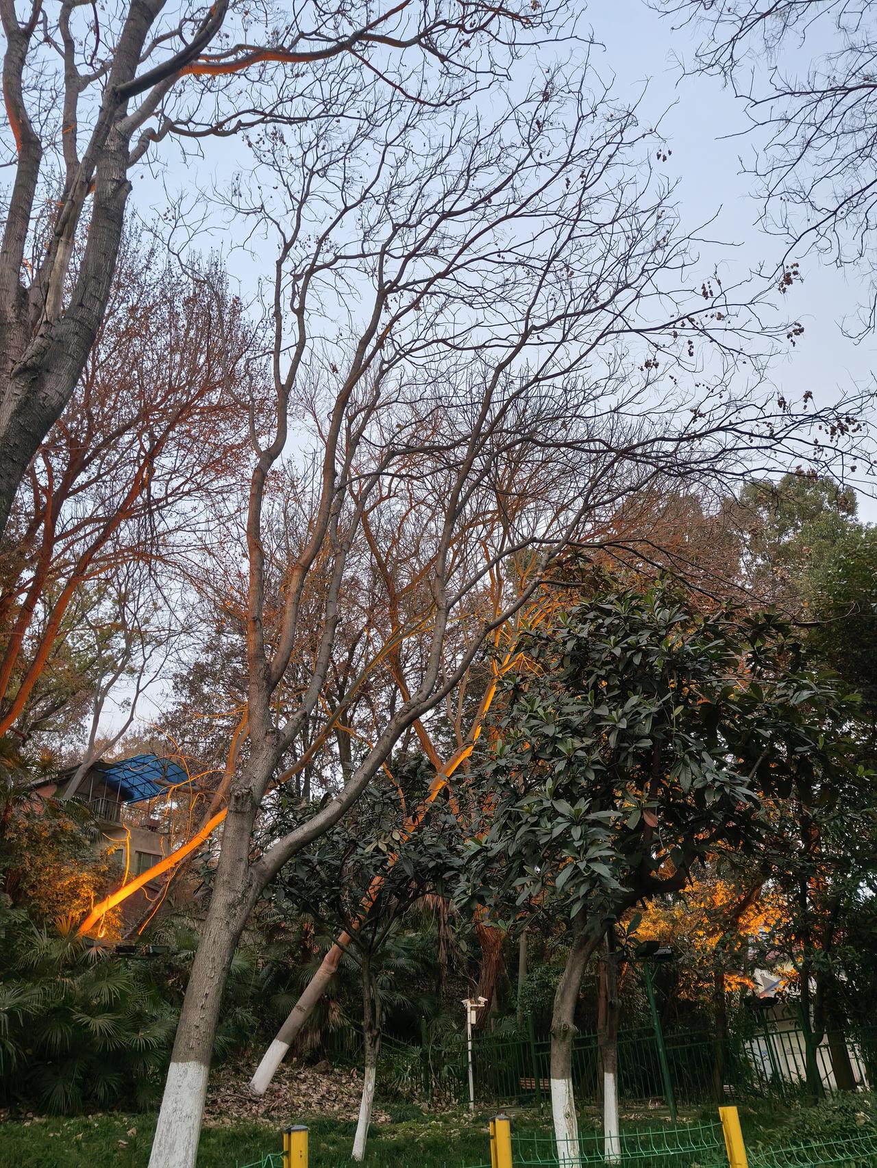 今天经理替公司到处物色疏通车子，一年一签的那种，很不顺利，价钱谈不拢


我们要