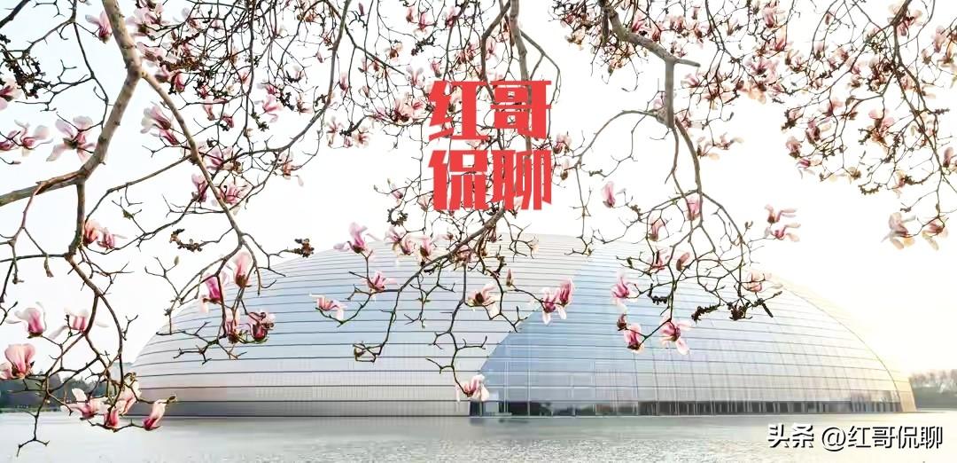 盈科换帅，据传梅某陷融资爆雷之中，网上吐槽很多，足见其影响力很大，但具体情况没有