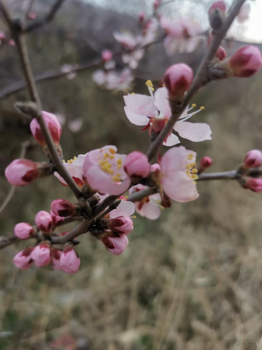 心中装得下时间，眼里容得错对，格局自然铺开。 