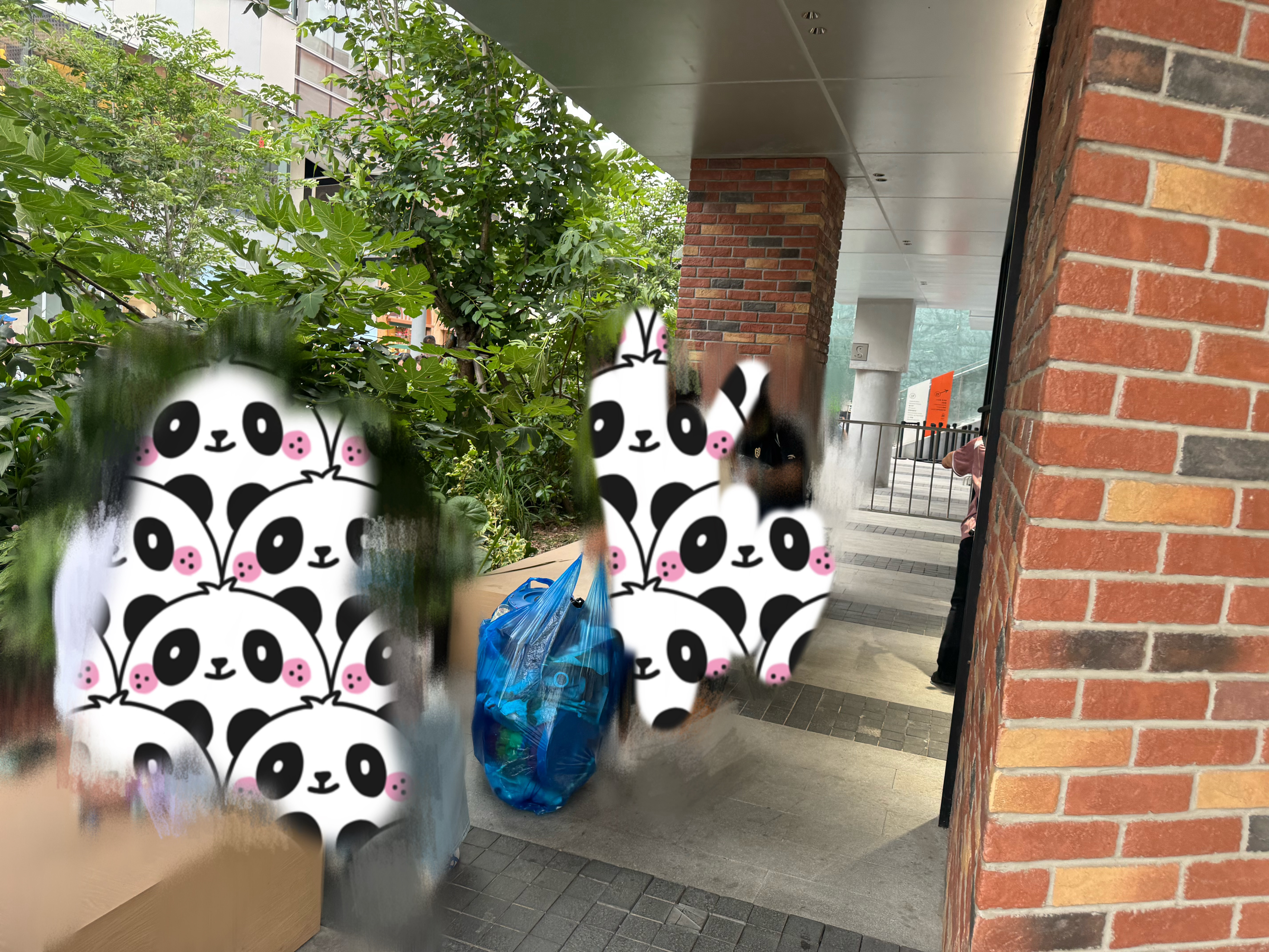 活动结束星姐清理了现场所有的垃圾🥹🤲🏻 樊振东