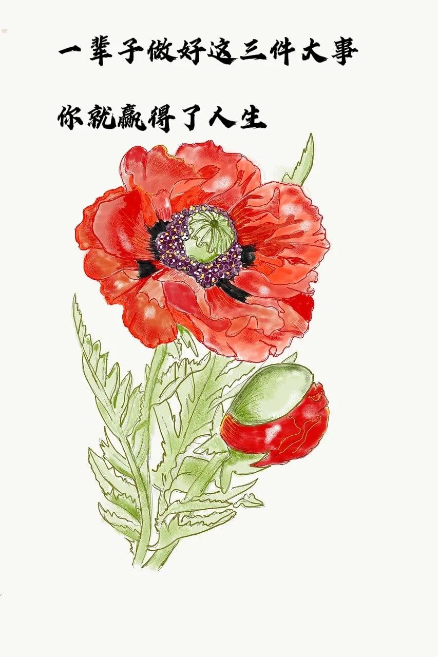 一辈子做好这三件大事你就赢得了人生


1、健康。
身体是人最大的财富，
是活着