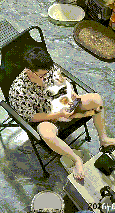 看这个视频真是越看越有意思，这小猫也太会黏人了。你看人家正坐在躺椅上专心致志打游
