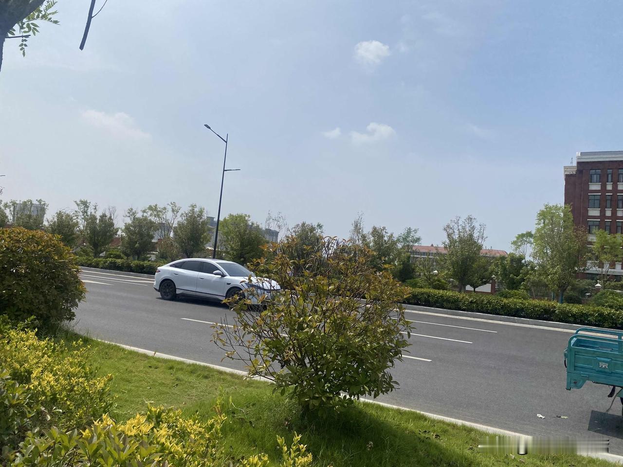 晒图笔记大赛城市绿意盎然，车流穿梭其中，生活静谧美好。