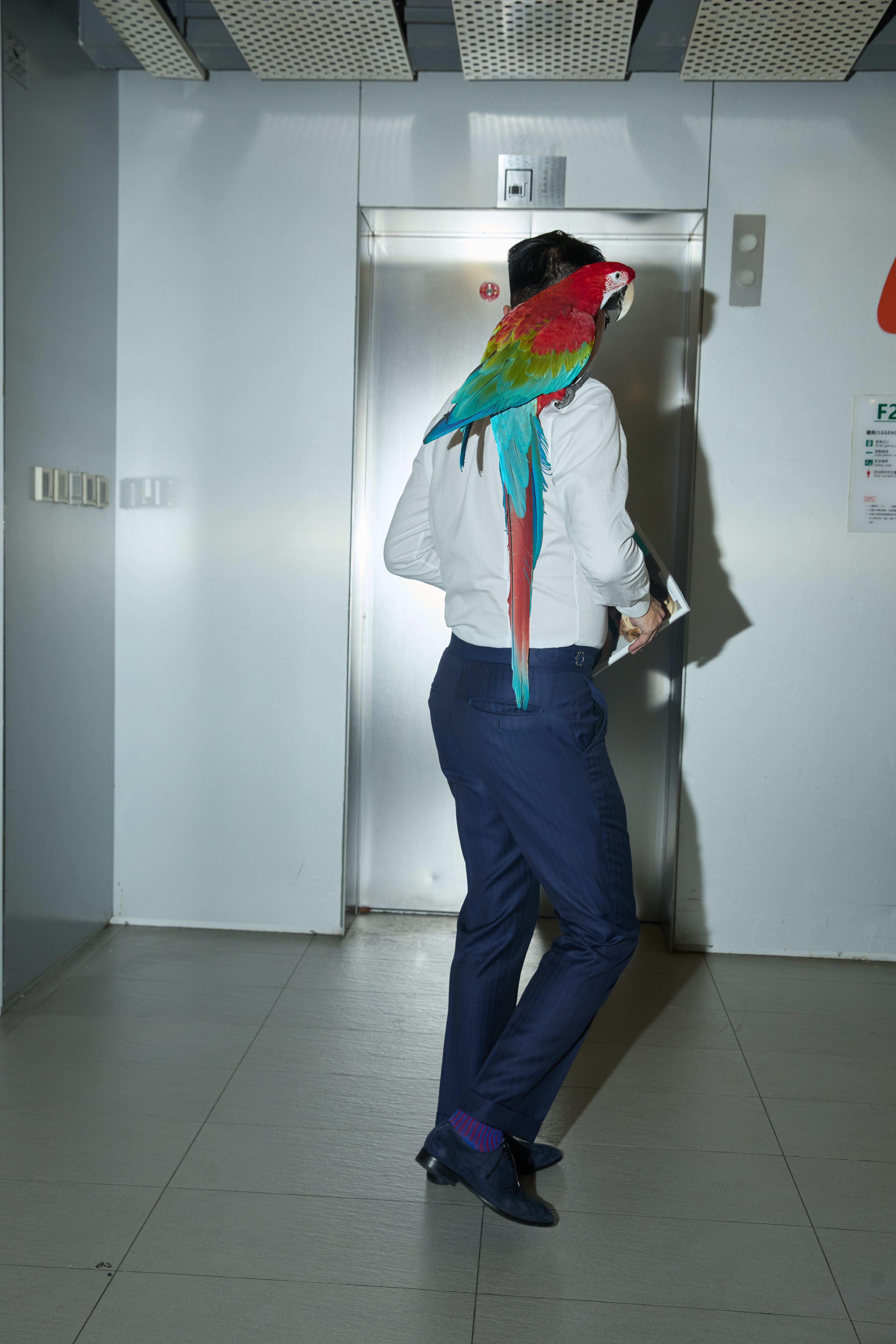 穿普拉达的女王2出发去首映礼 … 👠 Blue 💙对安妮海瑟薇2014 《里