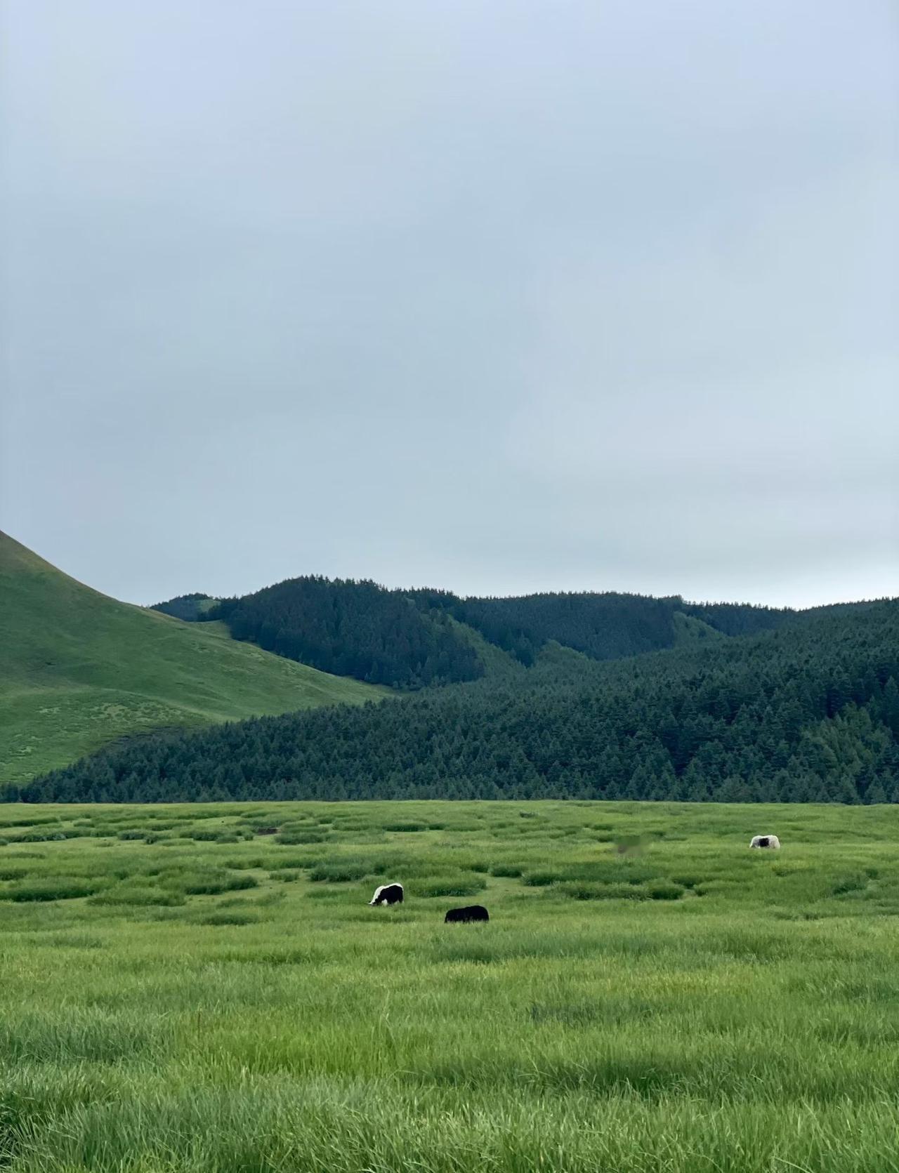 🍒𝙈𝙤𝙧𝙣𝙞𝙣𝙜✨ 心里知足，日子快乐，忙时有条理，闲时有滋味，