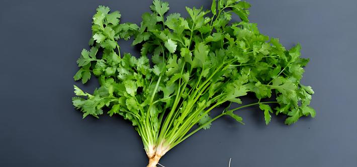 突然爱上香菜，没准真是因为老了。全球15%的人自带“香菜抗拒”基因，东亚地区每5