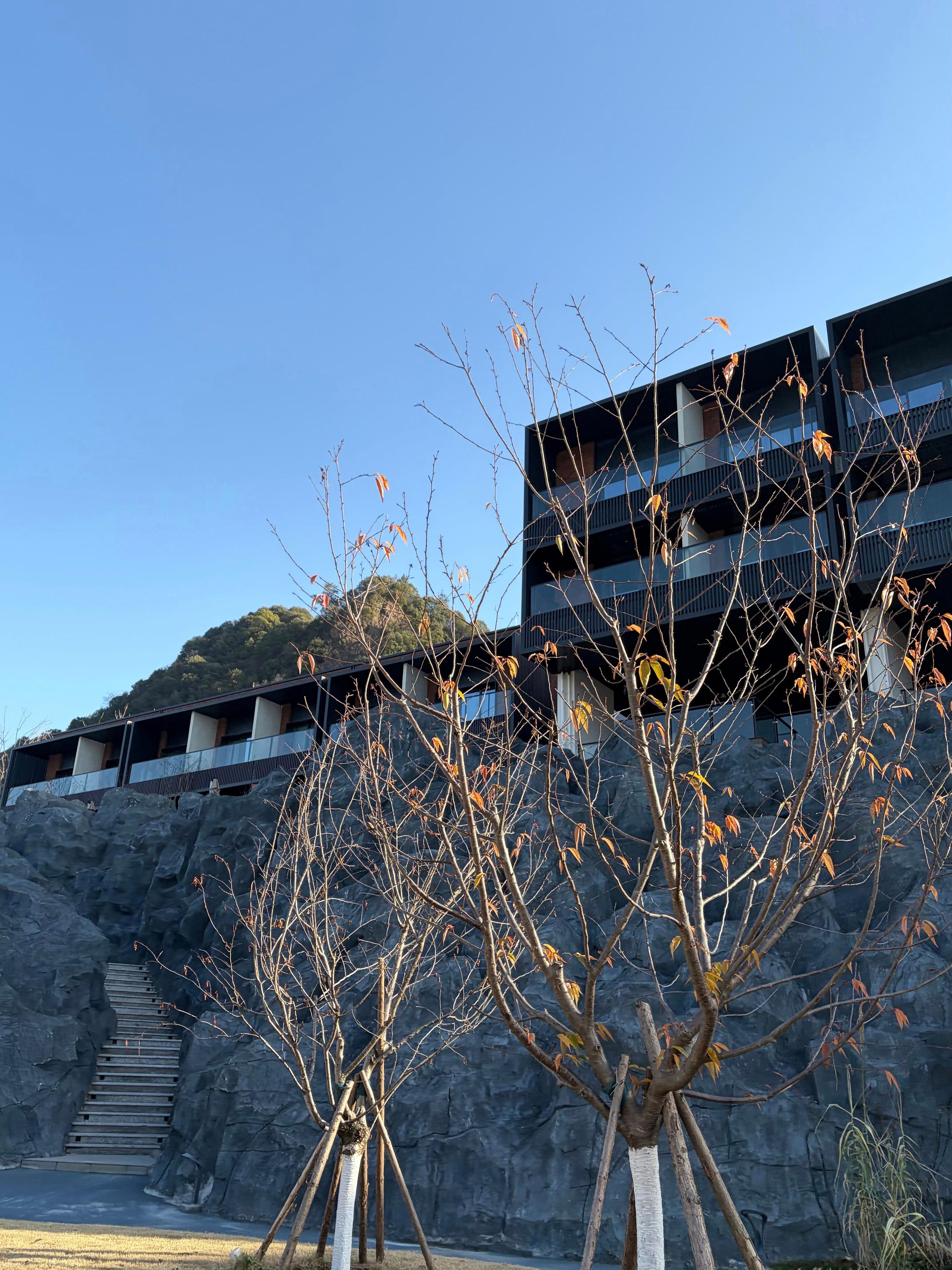 不得不感慨一句像我那些有娃的来访，其实普遍会表现得比较“焦虑”，尤其是年龄越大有