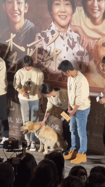#一家人好像都有点微醺#狗狗是最懂得传达感情的，在吴京闫妮谭松韵新电影中的表现真