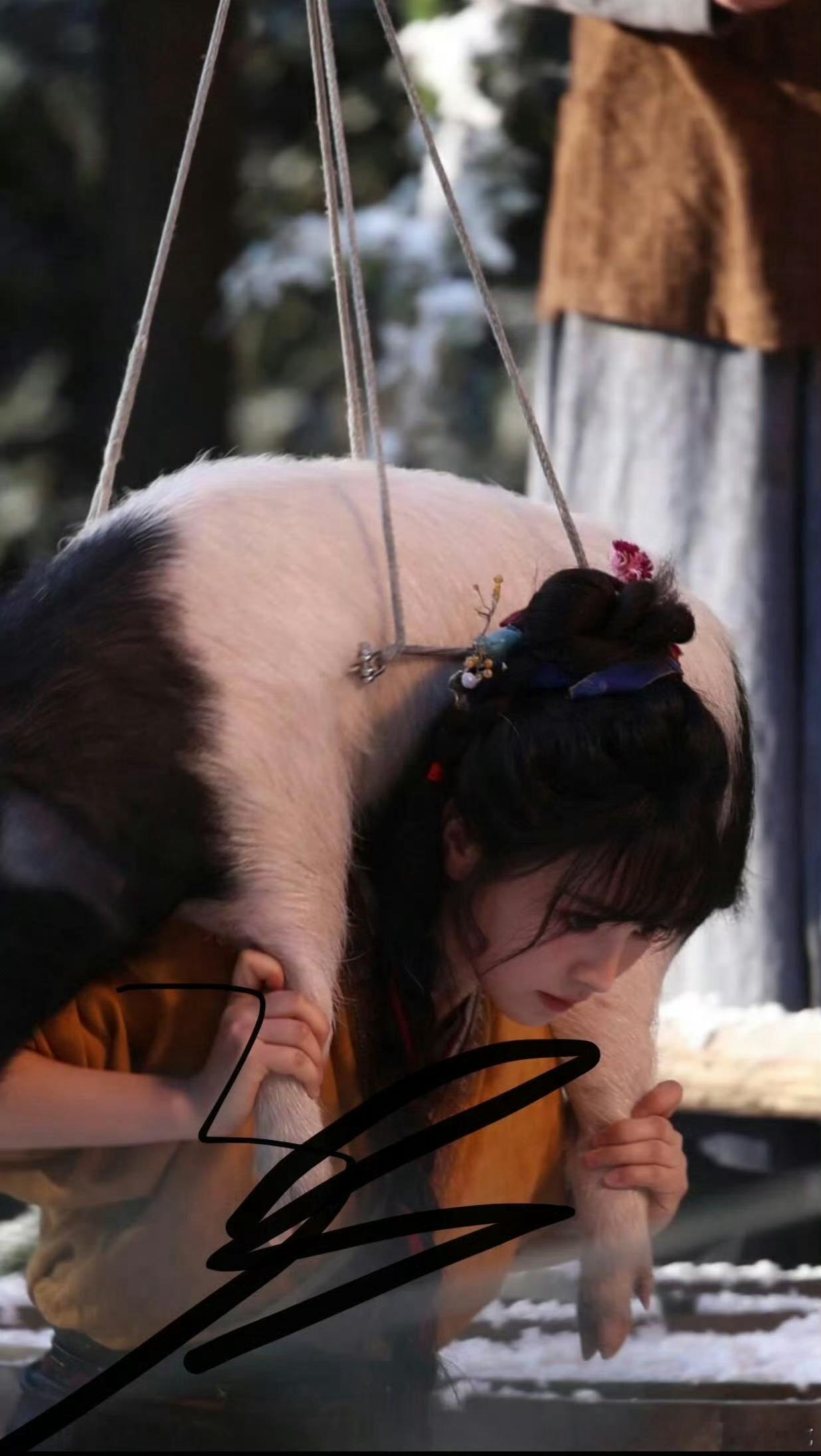 古偶女主扛猪第一人 有点想看这剧咯 