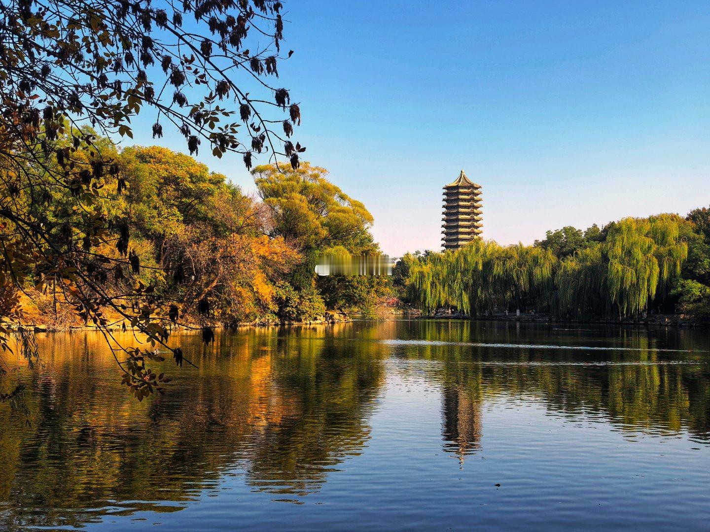 北京大学校园秋色迷人摄影​​​