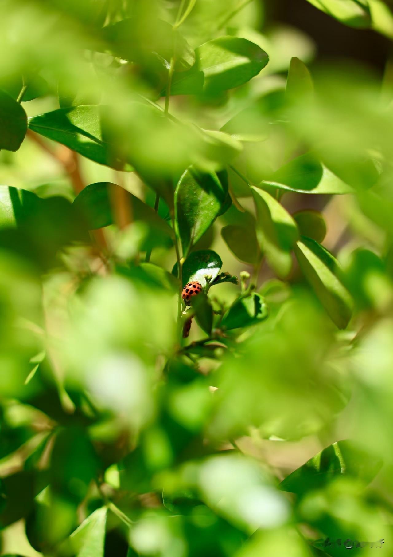 一段感情来之不易
千万别任性消耗
 
多沟通
少冷战
多包容
少较真
 
别把对