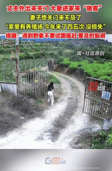 云南一丈夫外出未关门，老婆在家带娃时，门外狗突然狂叫不止，她还以为是丈夫回来了 
