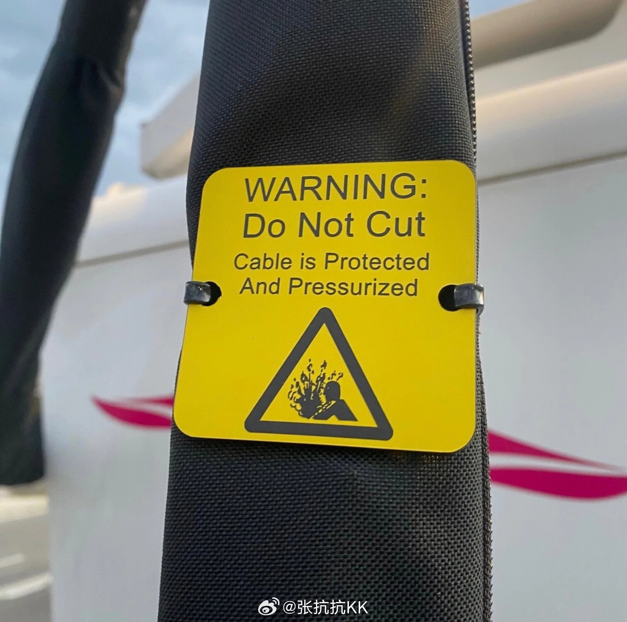 欧洲充电桩的保护这么完善？ 都得套上“防割套”了…… 是保护桩，还是保护人呢 