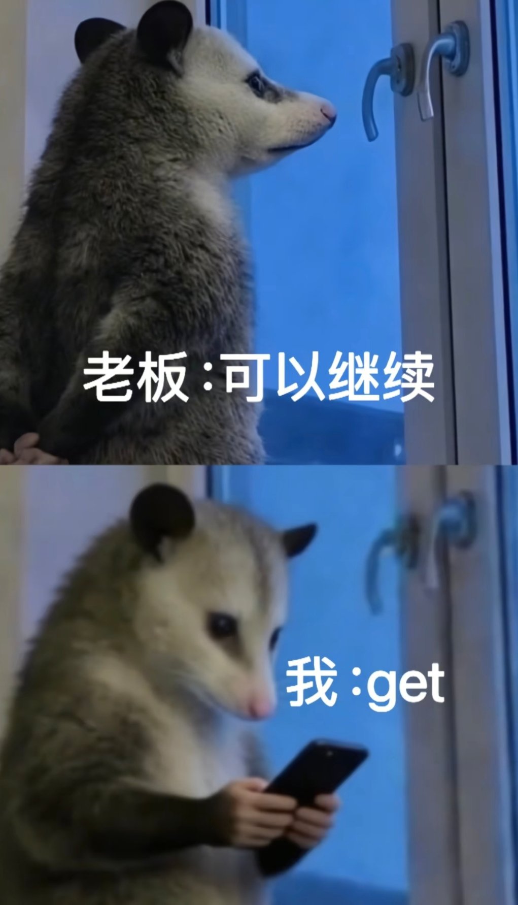 鹿晗让工作室剪个帅点的视频鹿晗工作室被嫌弃到破防挽尊把老板又搬出来了我的天，看的