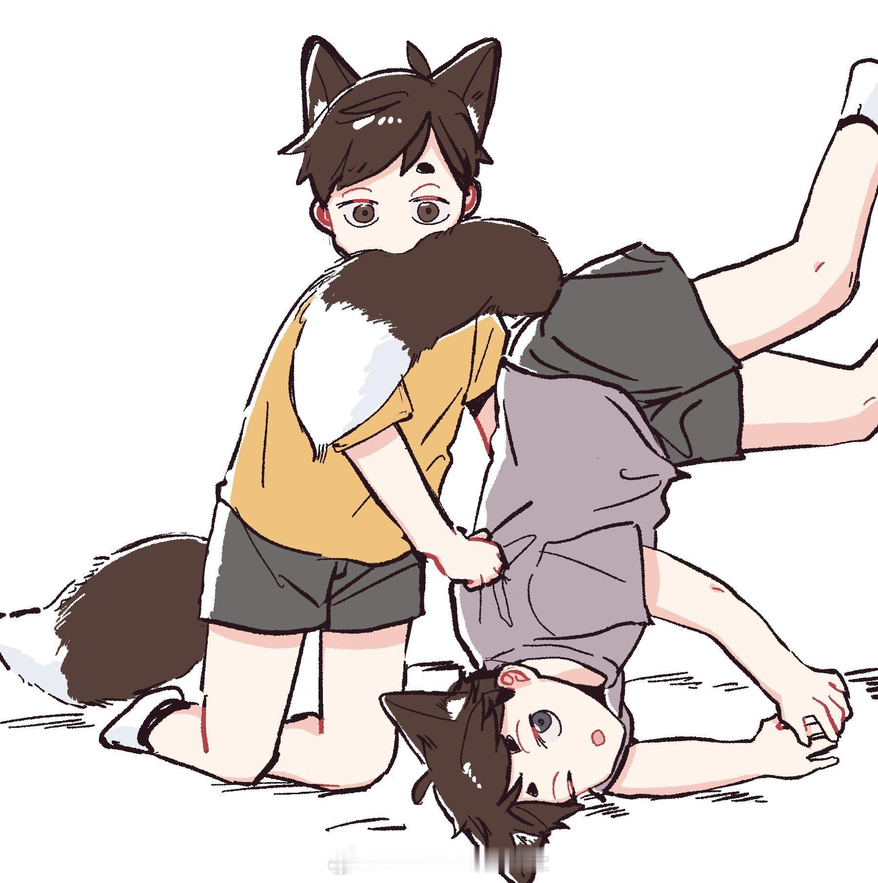 排球少年[超话]排球少年 🦊🦊 ​​​