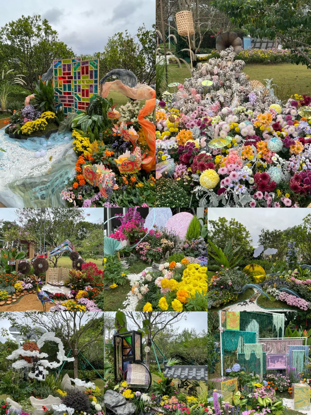 11.16live实况❗️广州文化公园菊花展太美了