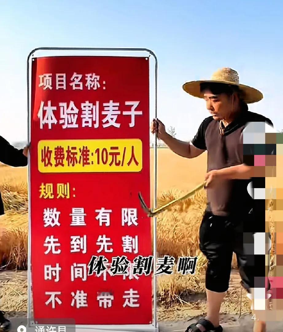 体验割麦子，10 元一次？这事儿可别轻易跟风！
 刷到河南通许那个“体验割麦子”