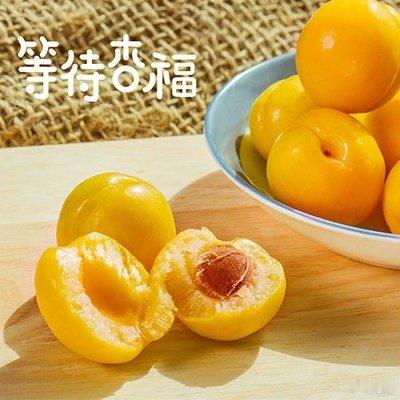 新疆小白杏熟了！六月是吃杏子的好季节。上次去石河子吃了现摘的杏子，念念不忘。这两