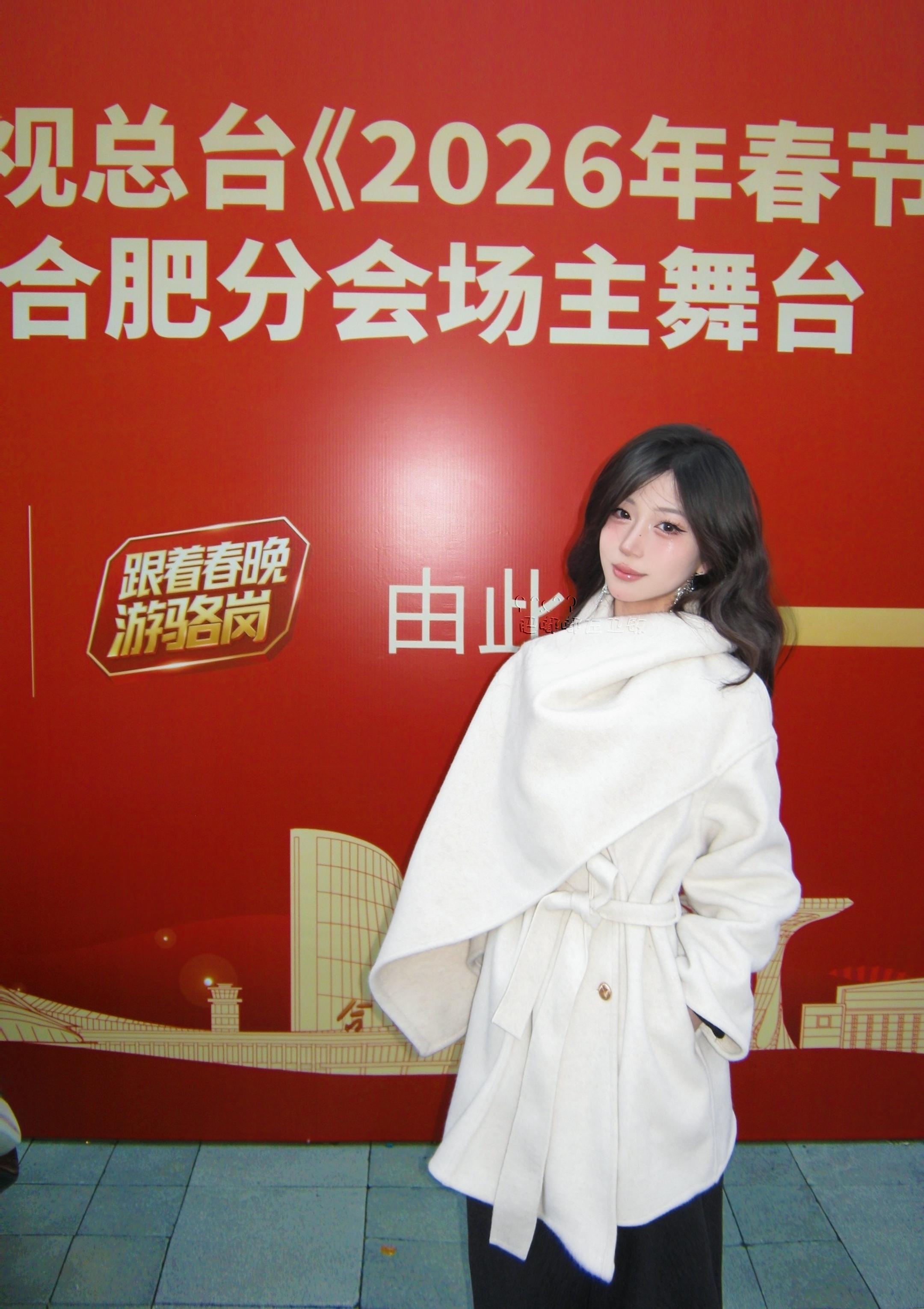 龙鳞马年春晚合肥分会场 我踏马来啦