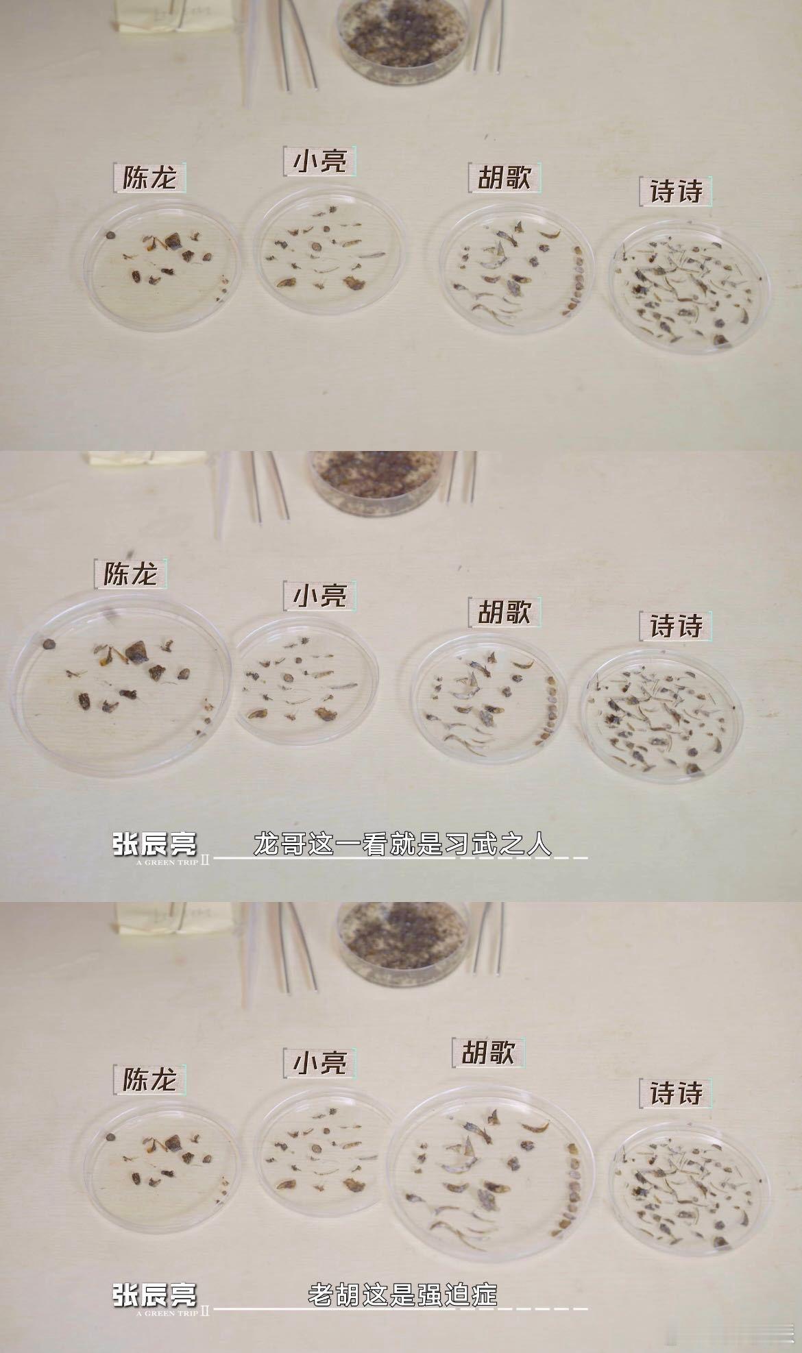 胡歌挑鱼刺强迫症舒适  从这次拆解水獭粪便的过程能看出他对细节的把控。每个鱼骨头