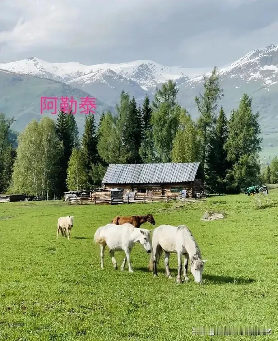 几处早莺争暖树，谁家新燕啄春泥。
   乱花渐欲迷人眼，浅草才能没马蹄。
   