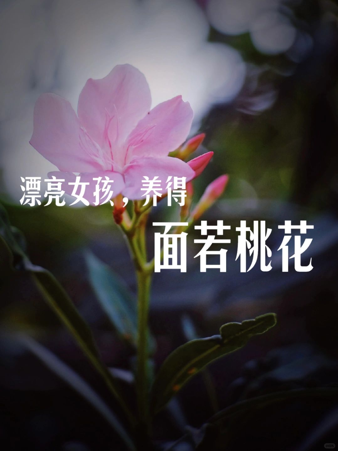 漂亮女孩养生，养成初恋脸，生出桃花颜
