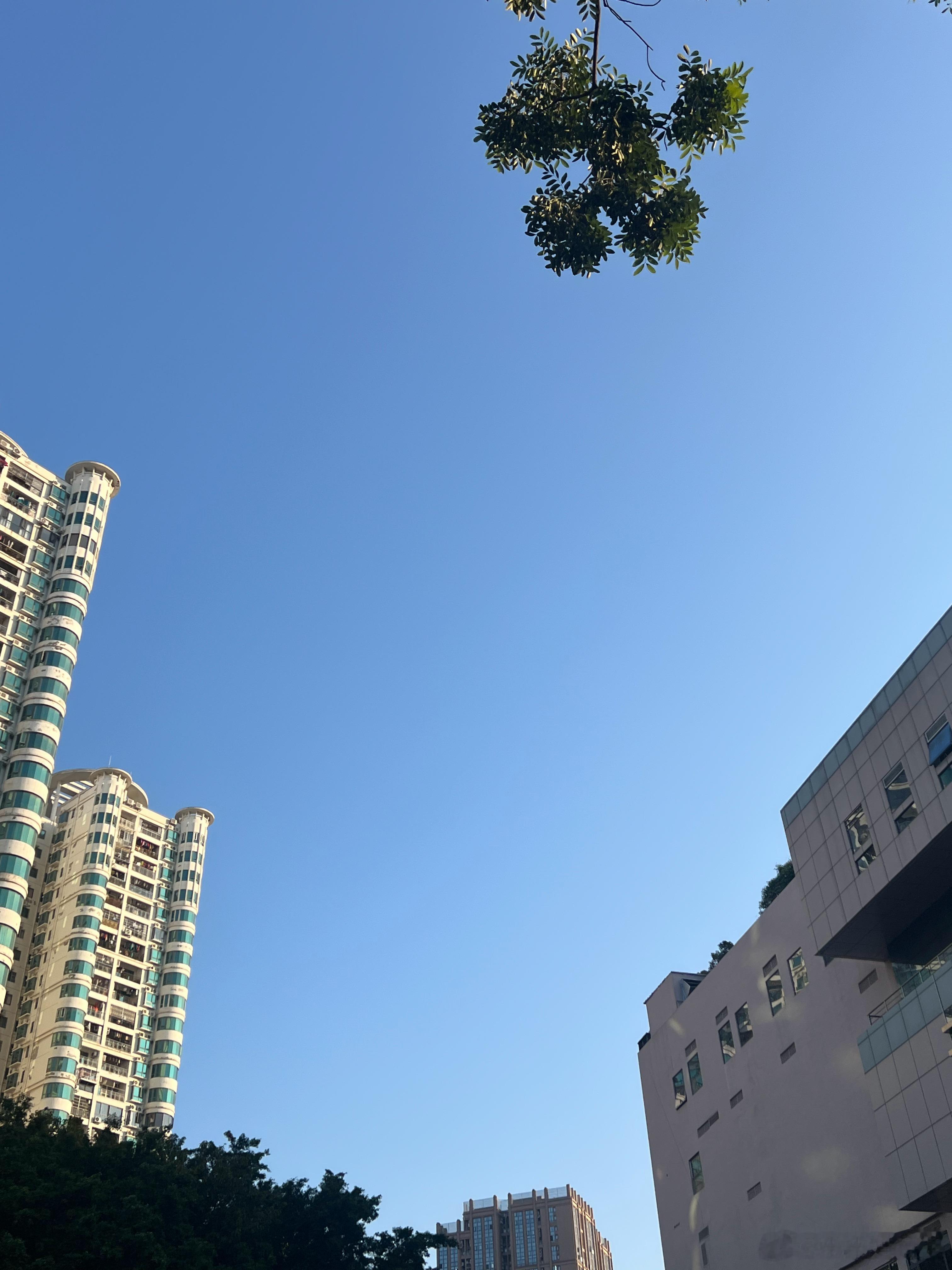 早上送完娃娃，感觉完成了一项巨大项目～今天比往常起来的时间提早了10分钟一片祥和