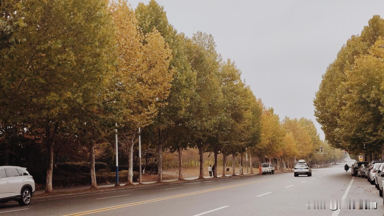 南京的秋，从溧水街头率先漫开
 
风一吹，溧水的秋就成了南京最温柔的注脚
不疾不