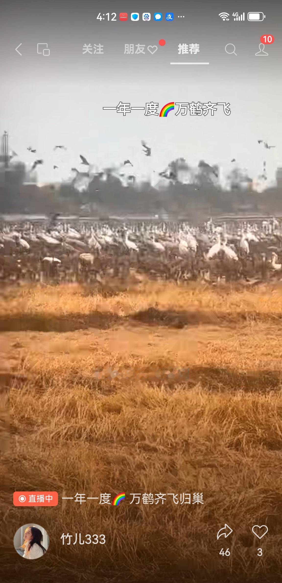 《12月7日鄱阳湖百万鸟盛典》
鄱阳湖上百万鸟，
今日起舞天地骄。
问鸟欲往何处