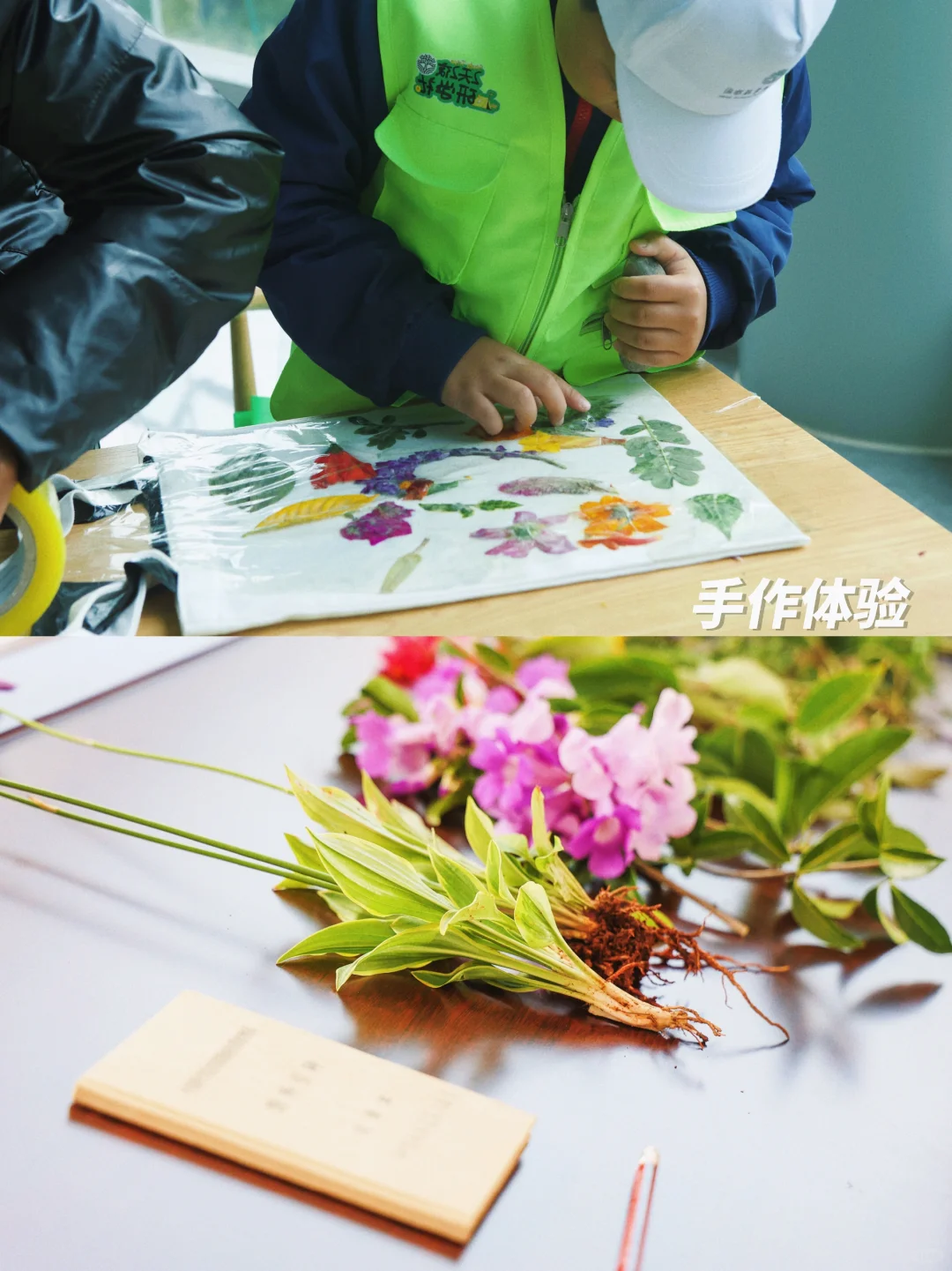 与哀牢山为邻、适合自然研学的亲子度假酒店