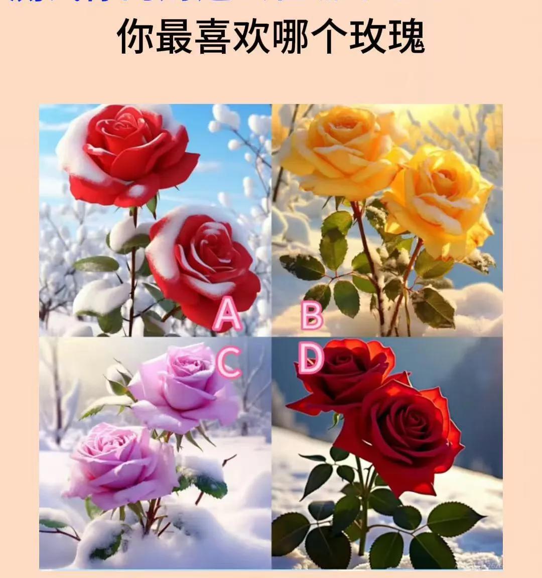 测试:测你的财运会在哪个季节爆发
选择最吸引人的玫瑰花🌹🌹🌹🌹🌹
看看