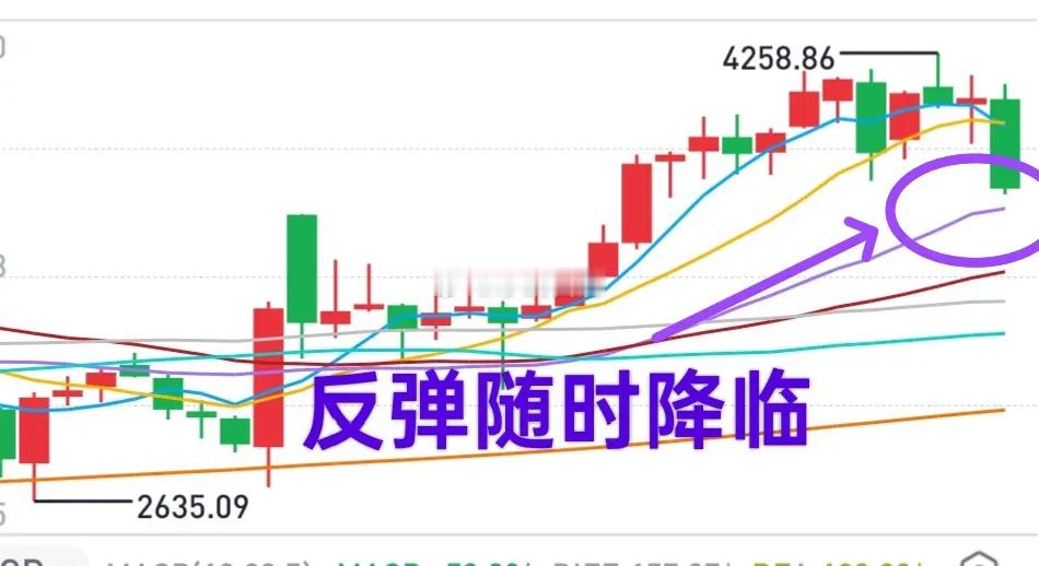 大盘会不会跌破3700点，已经不重要了。下半年也不要去想4200点的事了，概率较