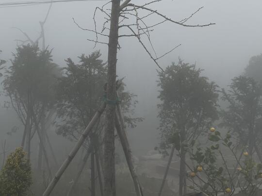 又是适合修仙的天气