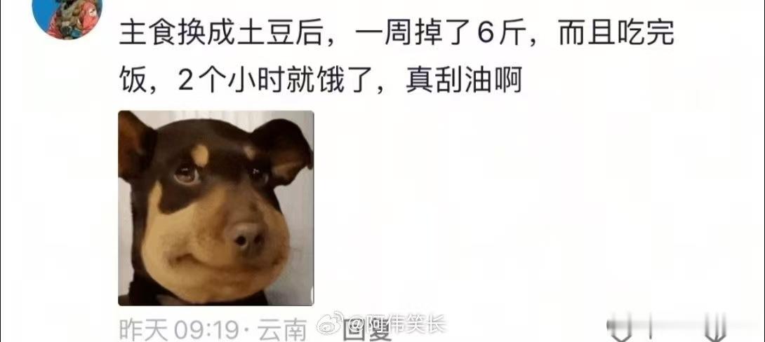 当我把土豆当成主食 减脂期尝试土豆替代主食，肠胃负担小很多，搭配鸡蛋青菜，一餐营