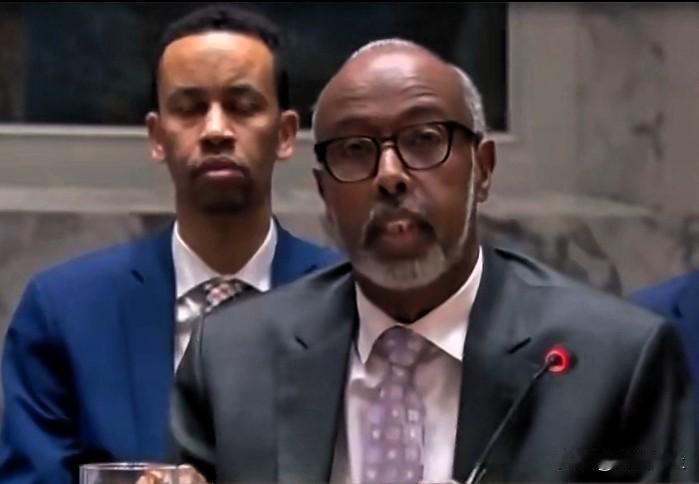 索马里代表在联合国言辞激烈反驳以色列指控：“一个自身每天都在实施轰炸、围困与杀戮