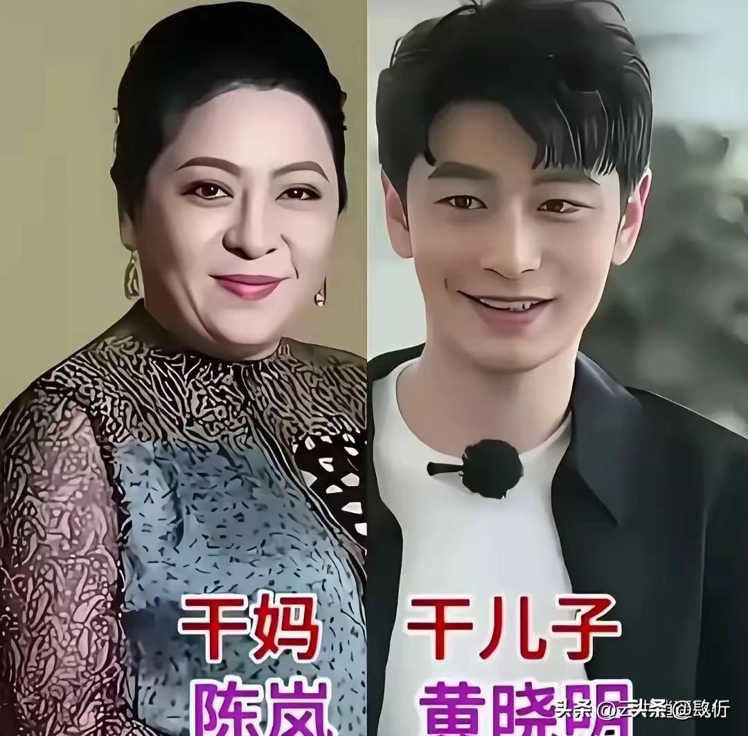 12位明星的干爹干妈：有人是真疼，有人是利益，差距太大了

秦海璐和郭麒麟，是真
