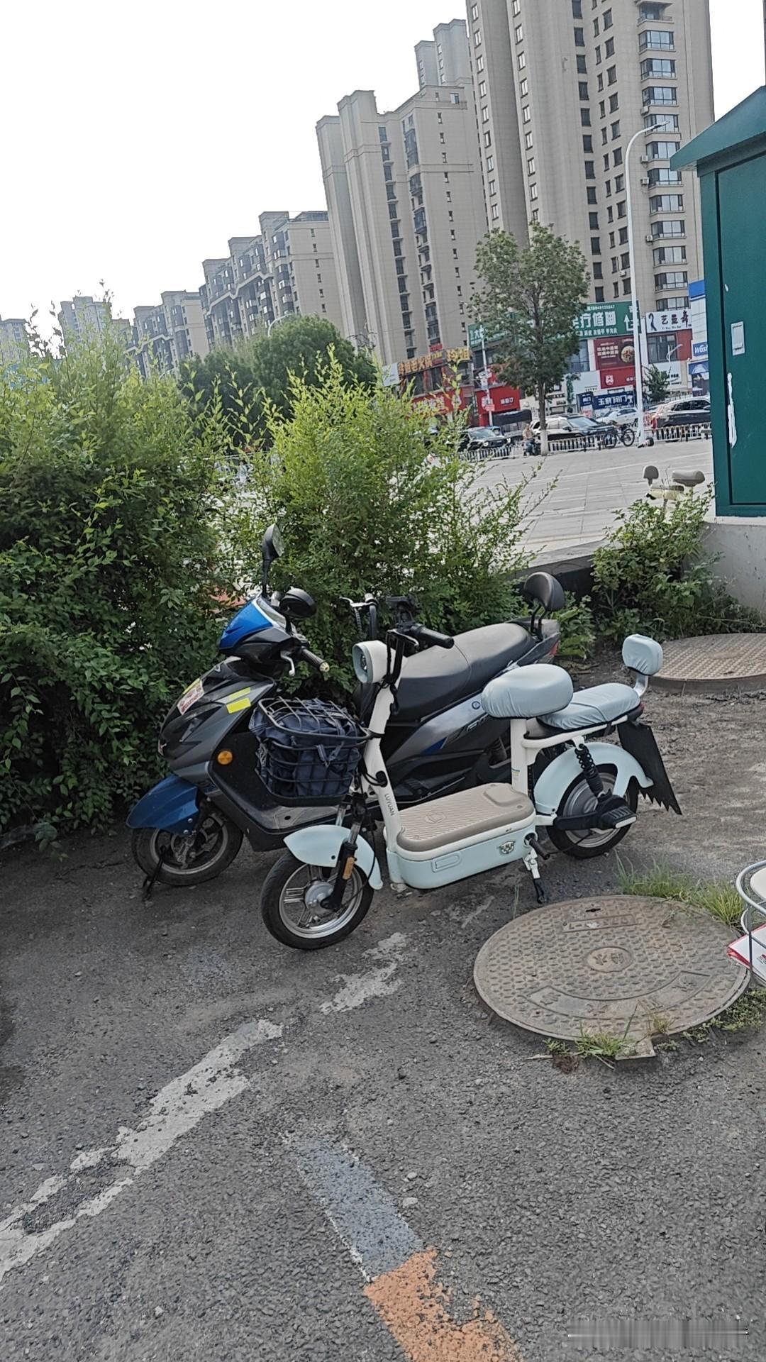 沈阳鬼天气热的像蒸笼，出门一分钟整个人就满脸流汗。
闷热，空气里仿佛抽空了氧气似