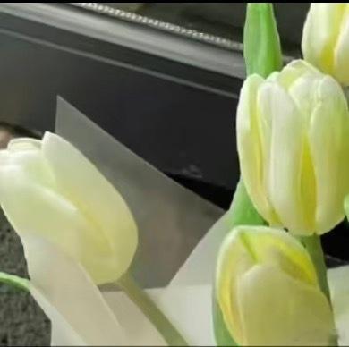 带着对美好的期待入睡 明天醒来 阳光和希望都会如期而至 晚安 好梦 