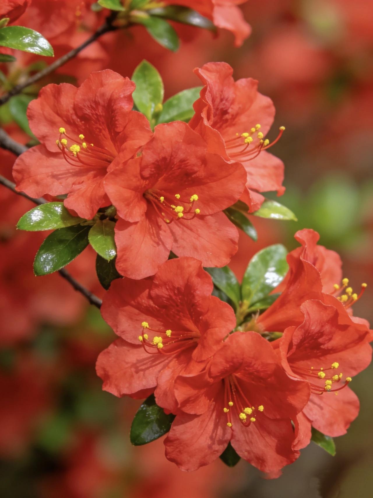 【标准答案不在别人嘴里，而在自己心里】
        生活里，我们总习惯向别人